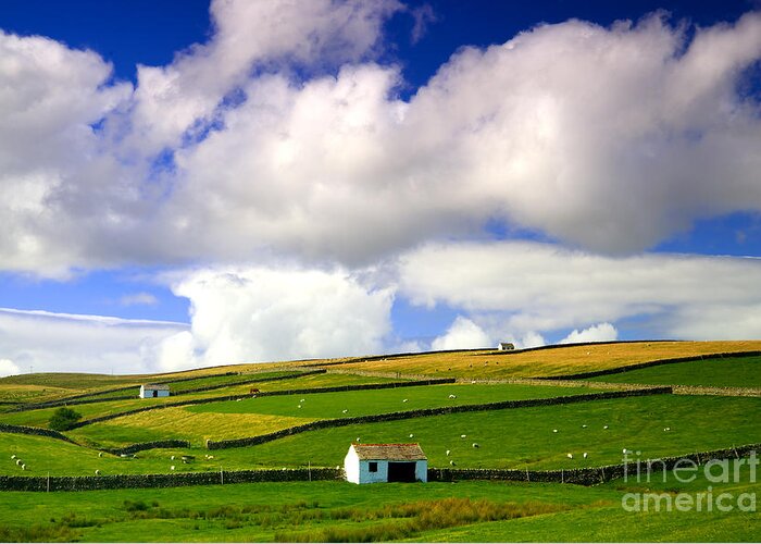 White Greeting Card featuring the photograph North Pennines Barns in Landscape by Martyn Arnold
