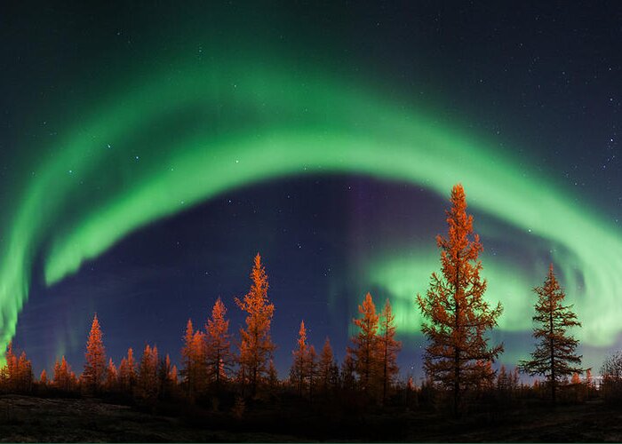 Aurora Greeting Card featuring the photograph Northern Lights by Andrey Snegirev