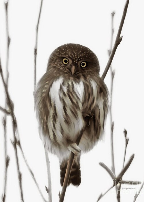 Northern Pygmy Owl Greeting Card featuring the painting Northern Pygmy Owl - Little One by Beve Brown-Clark Photography