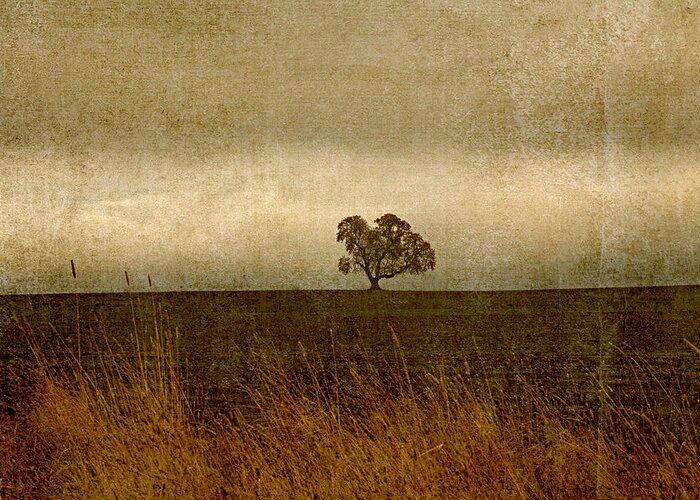 Oak Greeting Card featuring the photograph Oak Across a Field by Bonnie Bruno