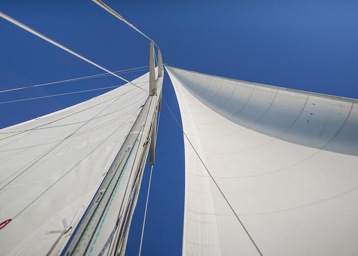 Sails Greeting Card featuring the photograph Obsession Sails 1 by Scott Campbell