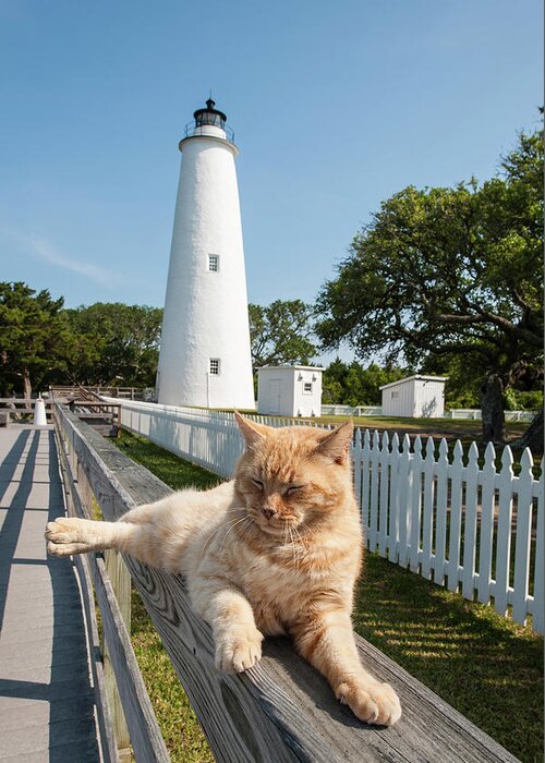 Beacon Greeting Card featuring the photograph Ocracoke Island Light Station, Outer by Michael Defreitas