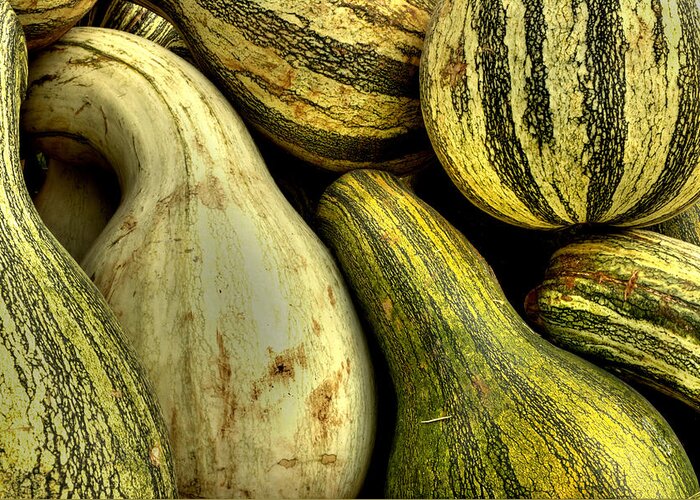 Gourds Greeting Card featuring the photograph October Gourds by Michael Eingle