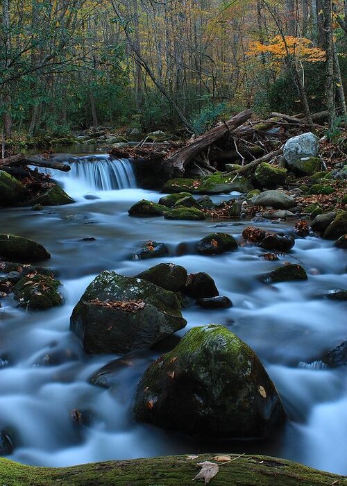 Color Greeting Card featuring the photograph Oconoluftee Mountain Stream by Nunweiler Photography