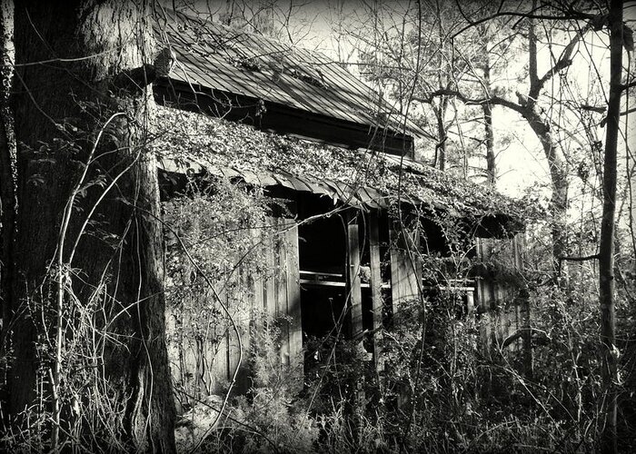 Barn Greeting Card featuring the photograph Old Barn in Black and White by Lisa Wooten