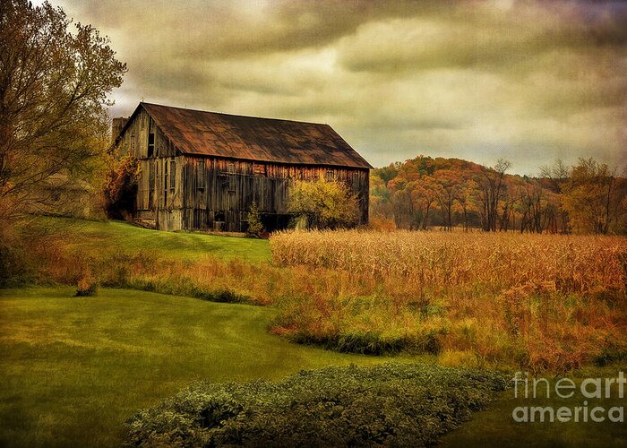 Barn Greeting Card featuring the photograph Old Barn In October by Lois Bryan