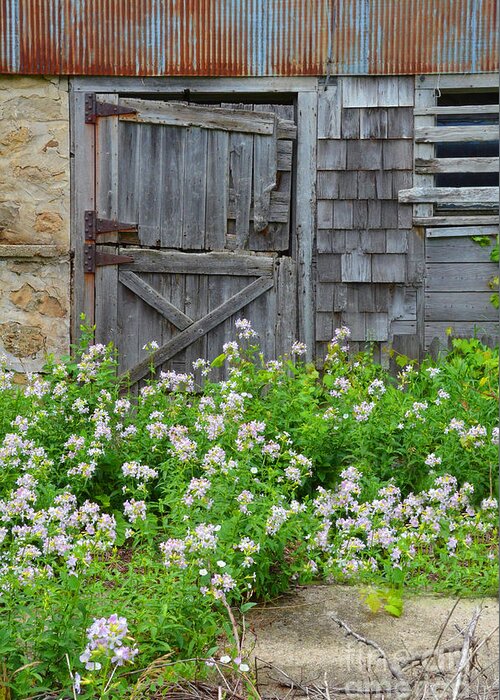 Door Greeting Card featuring the photograph Old Door and Wildflowers by Jill Battaglia