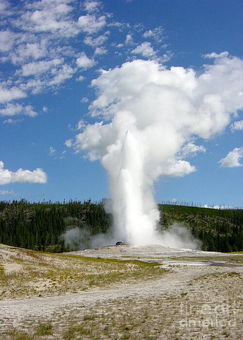 Wyoming Greeting Card featuring the photograph Old Faithful by Deborah Smolinske