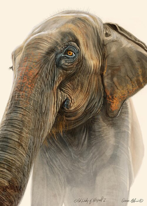 Elephant Greeting Card featuring the digital art Old Lady of Nepal 2 by Aaron Blaise