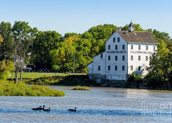 Old Greeting Card featuring the photograph Old Mill on Grand River in Caledonia in Ontario by Les Palenik