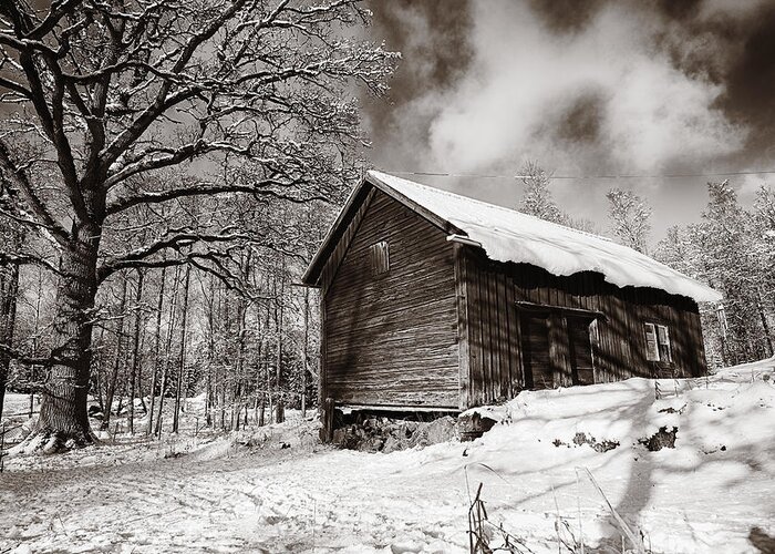Cottages Greeting Card featuring the photograph Old Rural Barn In A Winter Landscape by Christian Lagereek