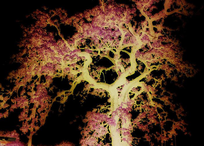 Tree Greeting Card featuring the photograph Old Tree New Bark by Max Mullins