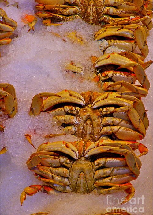 Crabs Greeting Card featuring the photograph On Ice by LeLa Becker