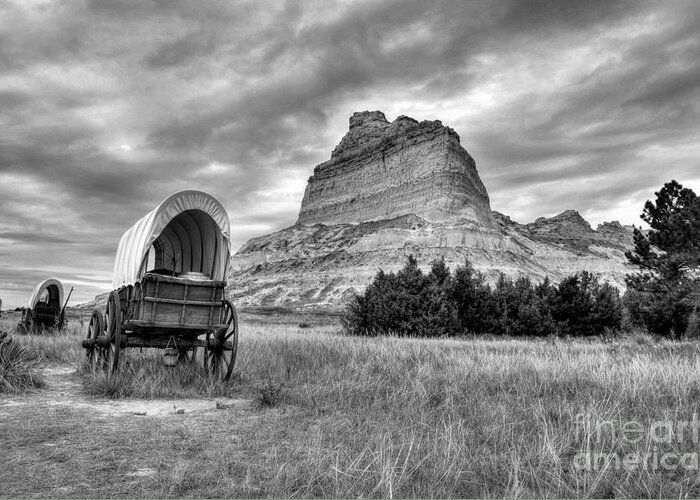 Western Art Greeting Card featuring the photograph On The Oregon Trail 2 BW by Mel Steinhauer
