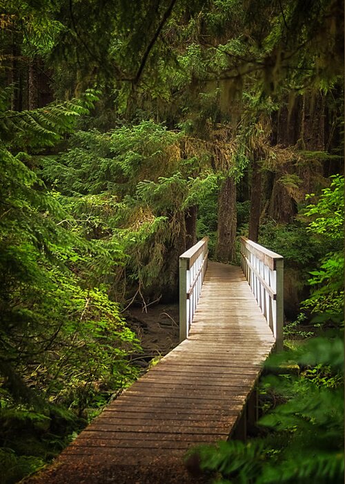 British Columbia Greeting Card featuring the photograph On the Trail by Carrie Cole