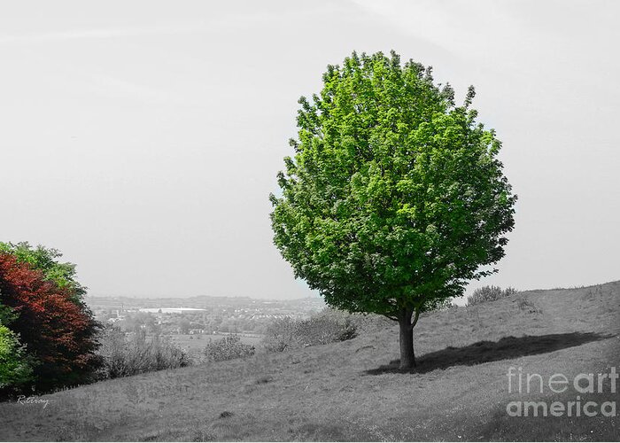 Vegetation Greeting Card featuring the photograph The Lone Tree On the Climb Up to Glastonbury by Rene Triay FineArt Photos