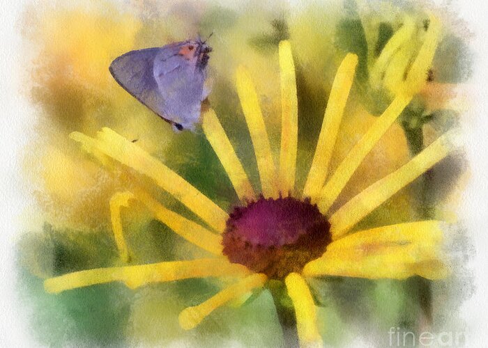 Butterfly Greeting Card featuring the photograph On The Yellow by Kerri Farley