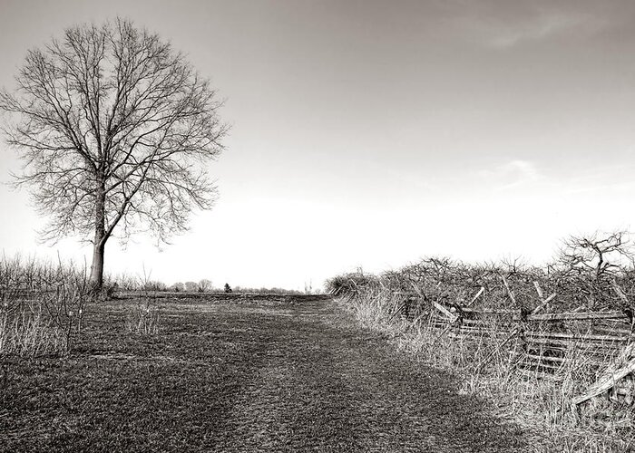 Monmouth Greeting Card featuring the photograph Once a Battlefield by Olivier Le Queinec