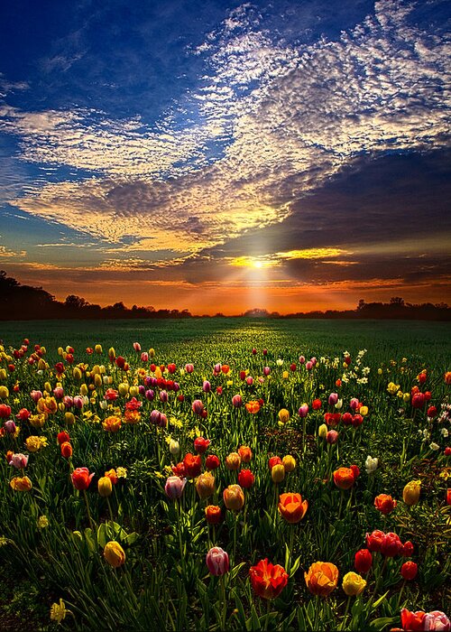 Horizons Greeting Card featuring the photograph Once Upon A Time by Phil Koch