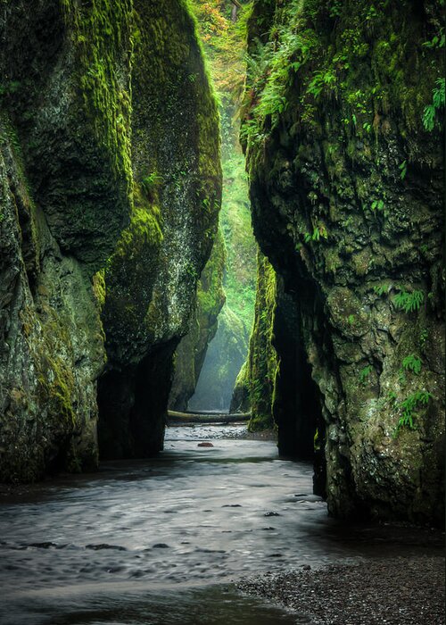 Columbia River Gorge Greeting Card featuring the photograph Oneonta Gorge by Brian Bonham