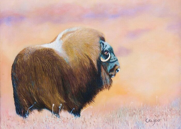 Musk-ox Greeting Card featuring the painting Oomingmak. by Jean Yves Crispo