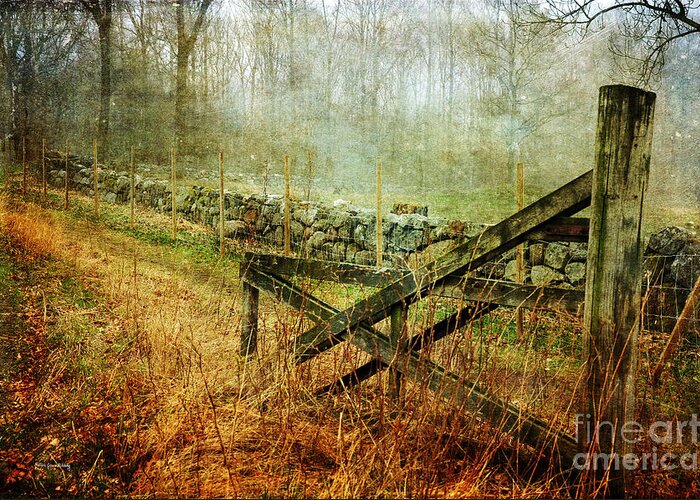Gate Greeting Card featuring the photograph Open Gate by Randi Grace Nilsberg