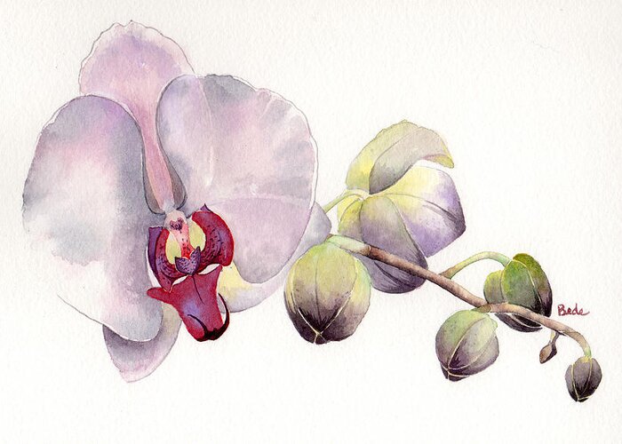 Orchid Greeting Card featuring the painting Open Up by Catherine Bede