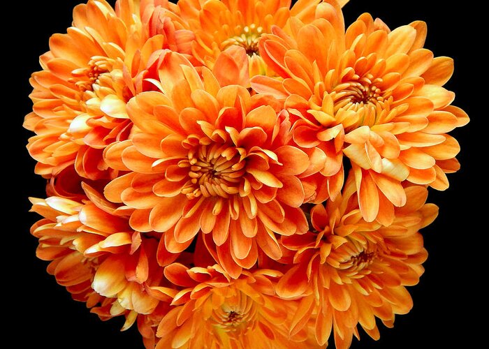 Flowers Greeting Card featuring the photograph Orange Chrysanthemums Still Life Flower Art Poster by Lily Malor