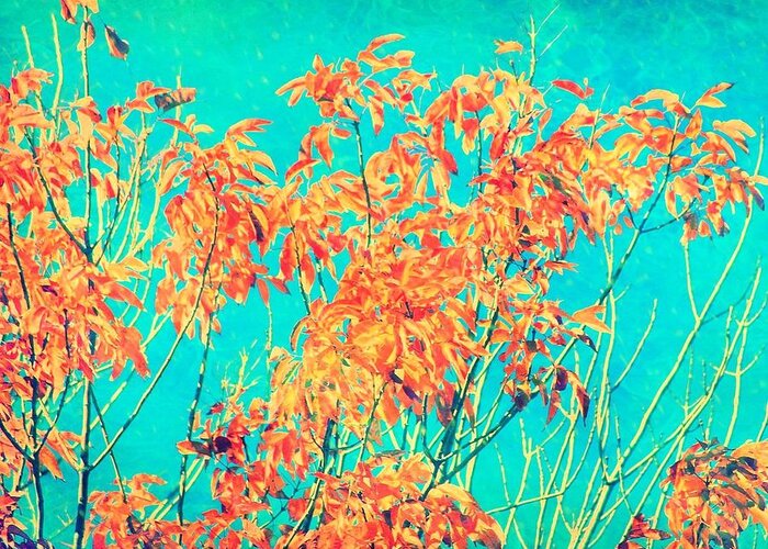 Leaves Greeting Card featuring the photograph Orange Leaves and Turquoise Sky by Elizabeth Budd