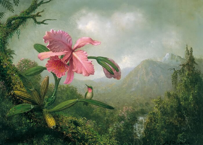 Orchid Greeting Card featuring the painting Orchid and Hummingbird by Mountain Dreams