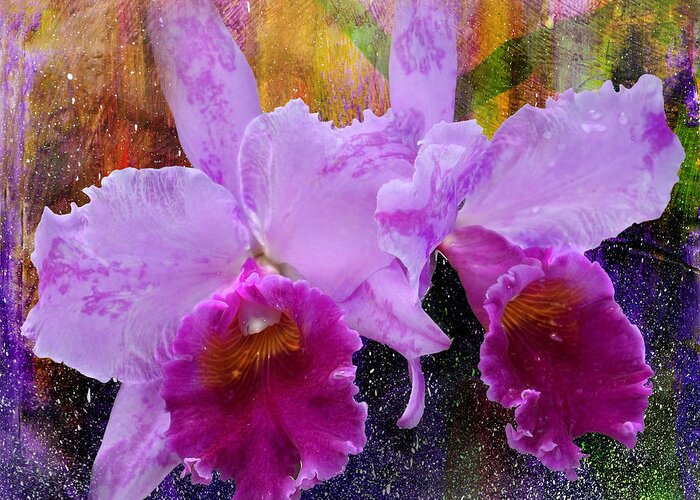 Nature Greeting Card featuring the photograph Orchids For Easter by Lena Wilhite
