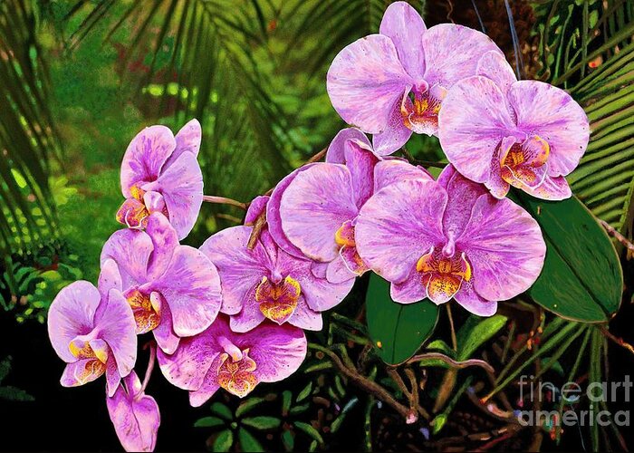 Orchids Greeting Card featuring the painting Orchidstra by Jackie Case