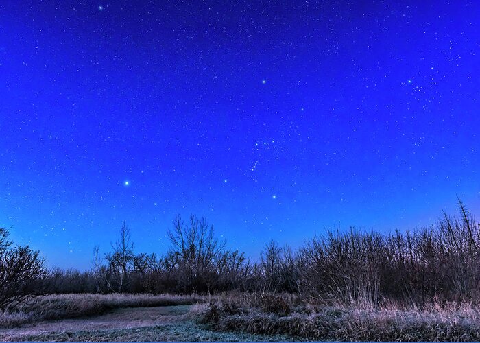 Aldebaran Greeting Card featuring the photograph Orion, Taurus, And Canis Major At Dawn by Alan Dyer