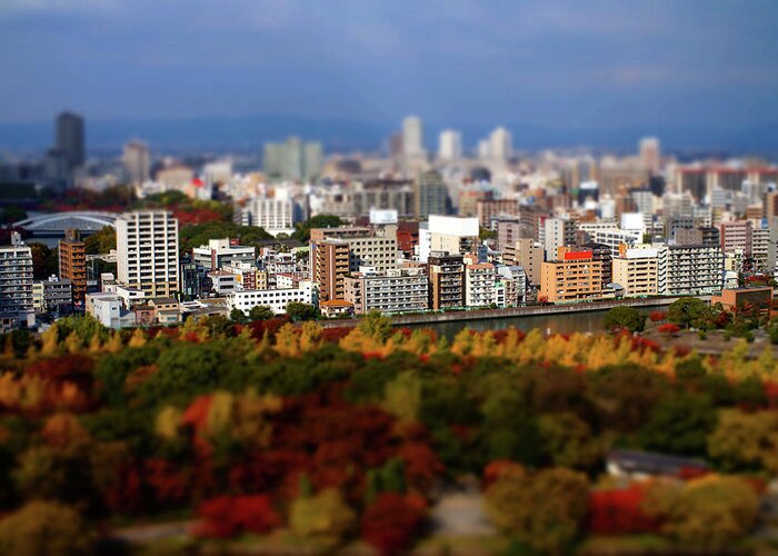 Osaka Prefecture Greeting Card featuring the photograph Osaka City Miniature In Autumn by Totororo