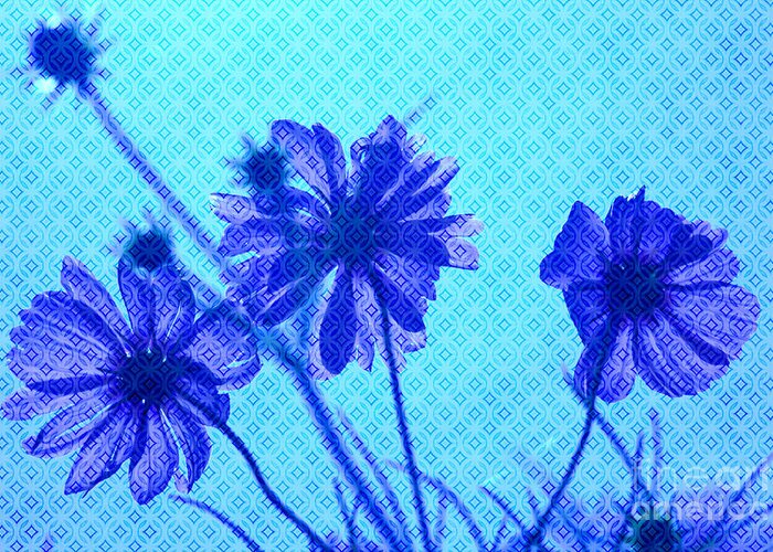 Cosmos Greeting Card featuring the photograph Otherworldly Cosmos Flowers in Aqua and Purple by Beverly Claire Kaiya