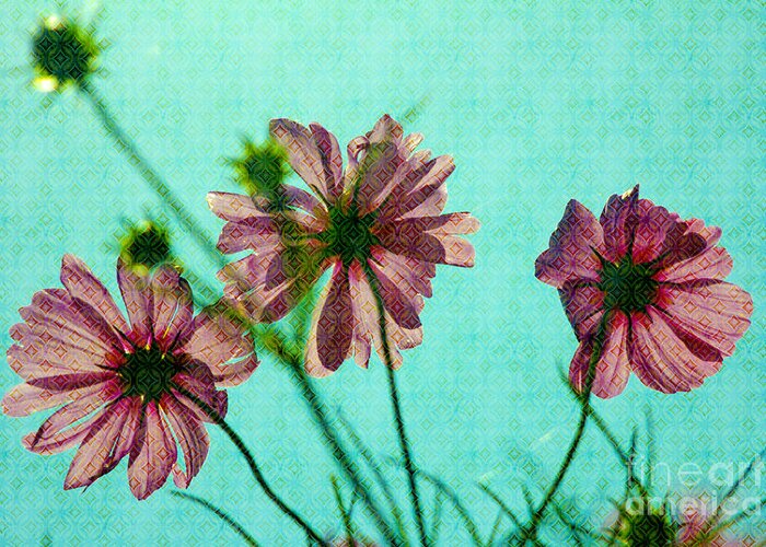 Cosmos Greeting Card featuring the photograph Otherworldly Cosmos Flowers in Pink and Green by Beverly Claire Kaiya