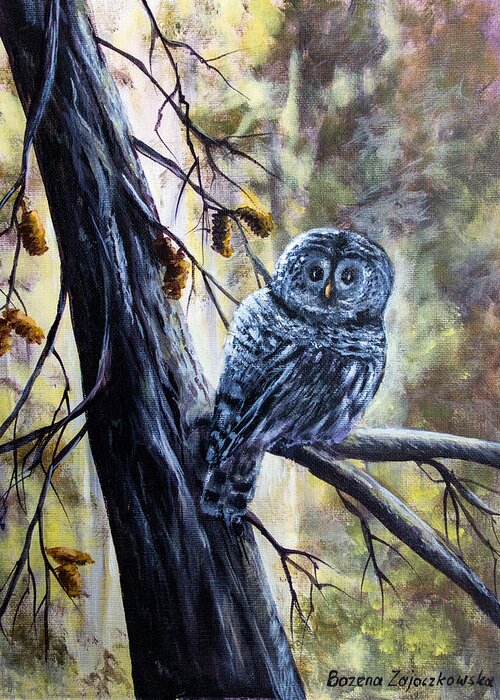 Owl Greeting Card featuring the painting Owl by Bozena Zajaczkowska