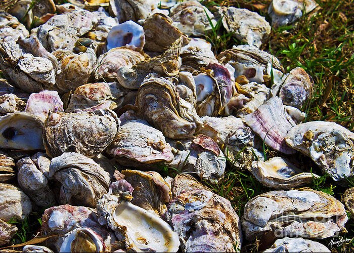 Oyster Greeting Card featuring the photograph Oysters 01 by Melissa Fae Sherbon