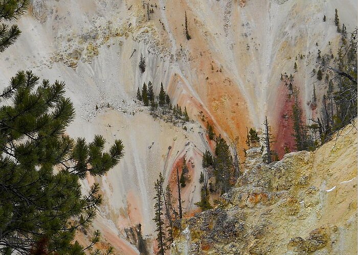 Yellowstone National Park Greeting Card featuring the photograph Painted Canyon At Lower Falls by Michele Myers