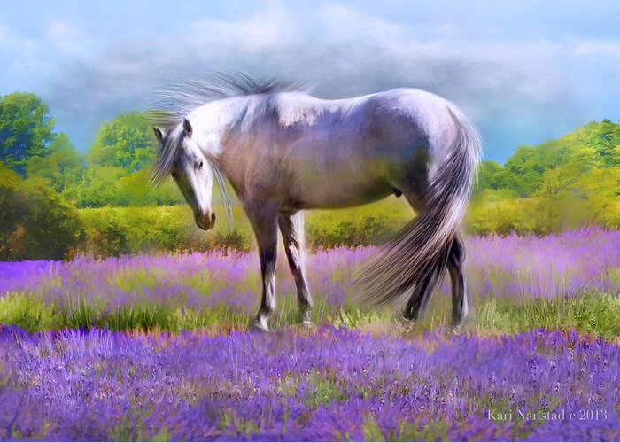 Grey Horse In Lavender Field Greeting Card featuring the digital art Painted For Lavender by Kari Nanstad