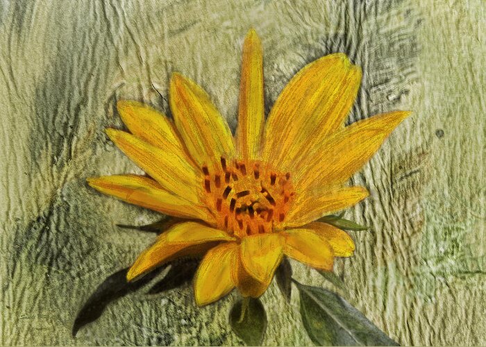Sunflower Greeting Card featuring the photograph Painterly Sunflower by Sandi OReilly