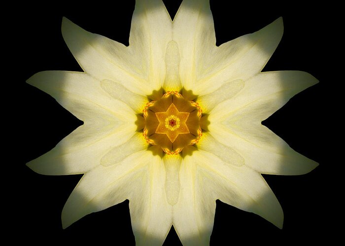 Flower Greeting Card featuring the photograph Pale Yellow Daffodil Flower Mandala by David J Bookbinder