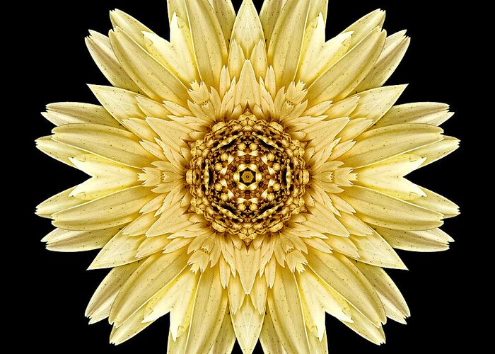 Flower Greeting Card featuring the photograph Pale Yellow Gerbera Daisy I Flower Mandala by David J Bookbinder