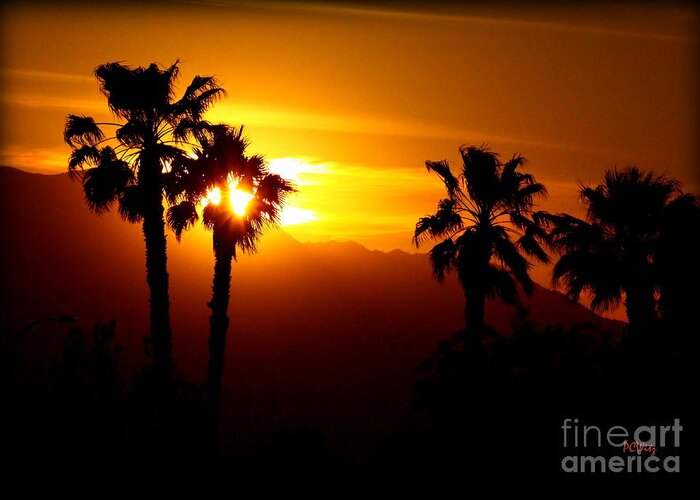 Sunset Greeting Card featuring the photograph Palm Desert Sunset by Patrick Witz