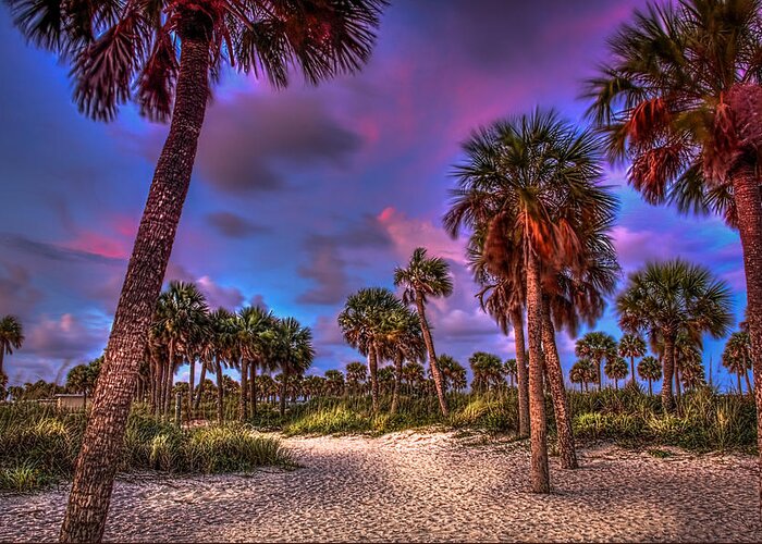 Landscape Greeting Card featuring the photograph Palm Grove by Marvin Spates
