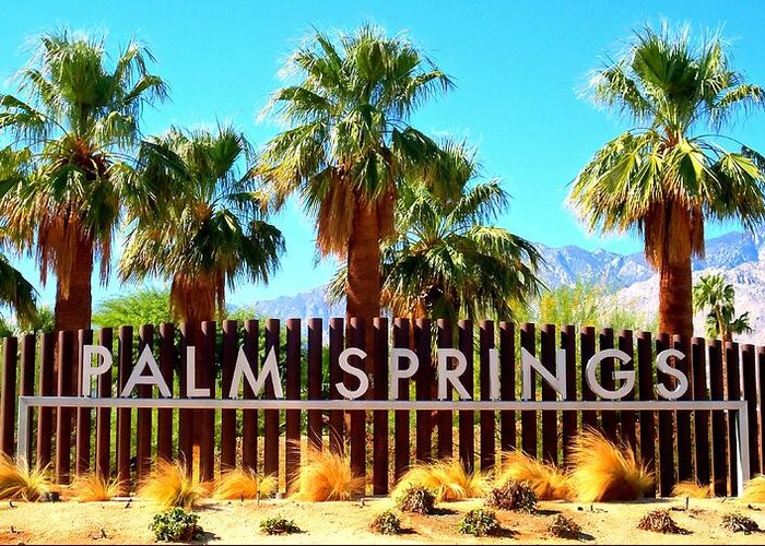 Palm Springs Greeting Card featuring the photograph Palm Springs 1 by Ron Kandt