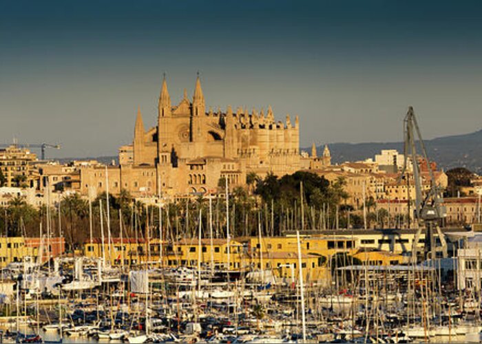 Panoramic Greeting Card featuring the photograph Palma Cathedral, Mallorca, Spain by Travelpix Ltd