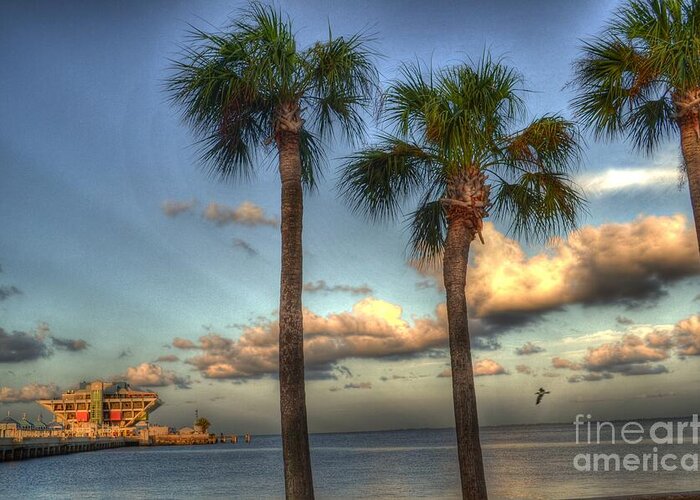 Pier Greeting Card featuring the photograph Palms at the Pier by Timothy Lowry