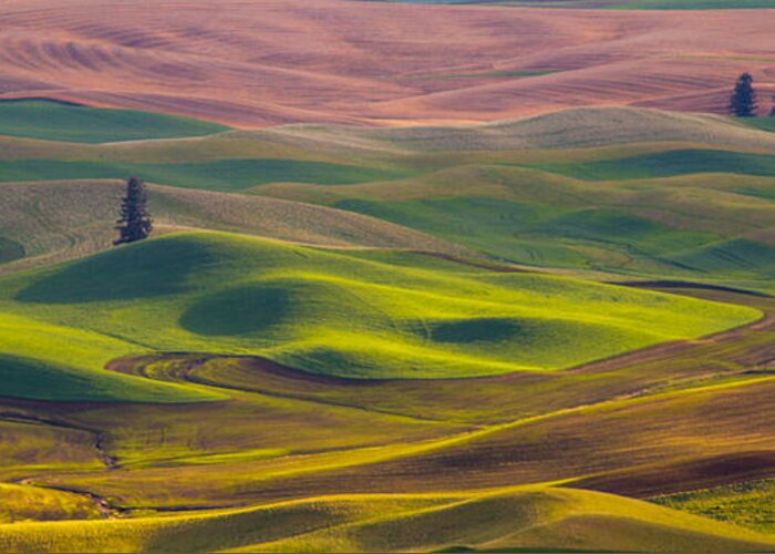 Spring Sunrise Greeting Card featuring the photograph Palouse waves by Kunal Mehra