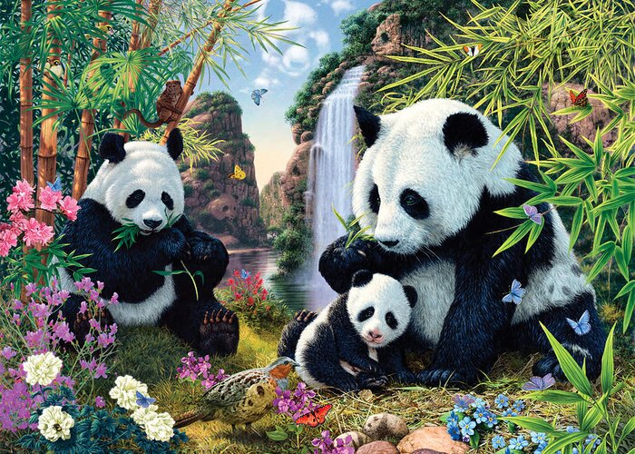 Steve Read Greeting Card featuring the photograph Panda Valley by MGL Meiklejohn Graphics Licensing
